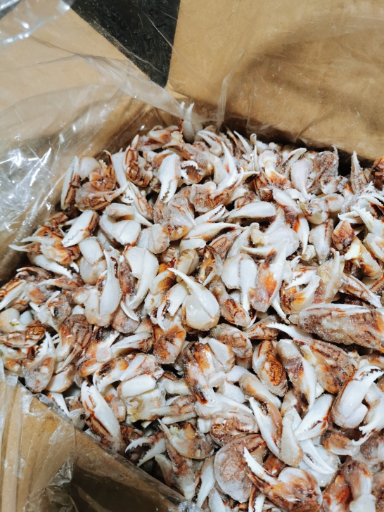 鲜冻的沙蟹钳,中小号,做捞汁,麻辣都不错,...