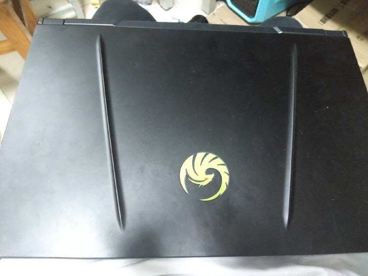微星先锋alpha15，顺丰包邮，能小刀拒...