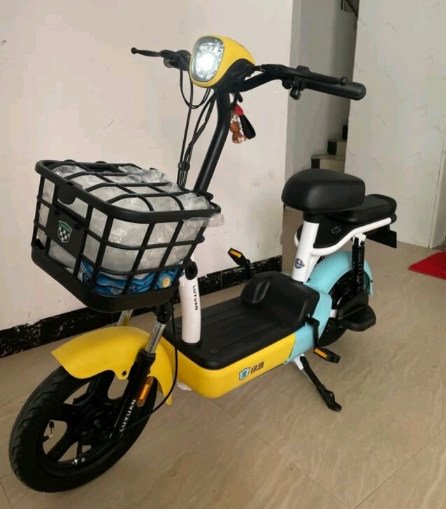 绿源电动车，绿源卡乐03新款，新车全网最低...