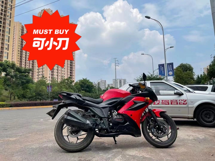 品牌型号 地平线摩托车250