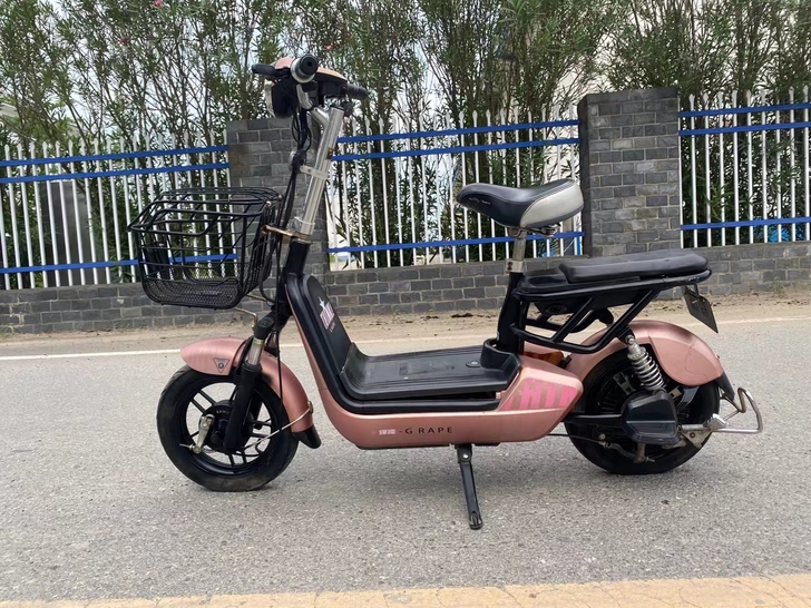 绿能电动车48v12a 能跑25公里左右，...