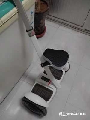 柏思图智能电动双轮平衡车 儿童 成年 新款...
