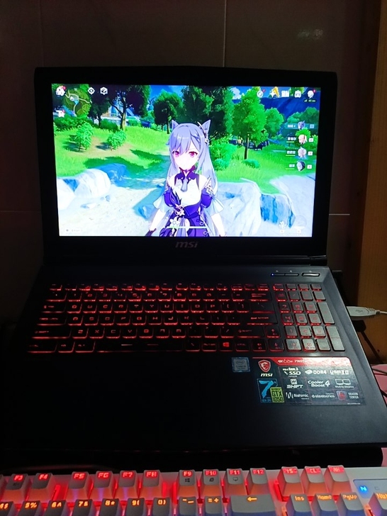 微星gl62m 深圳龙华自提