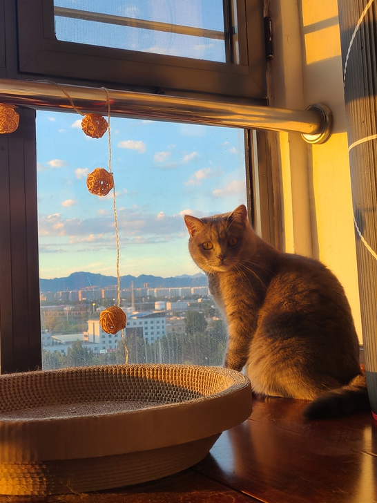 收红米k30 4g版 8+128