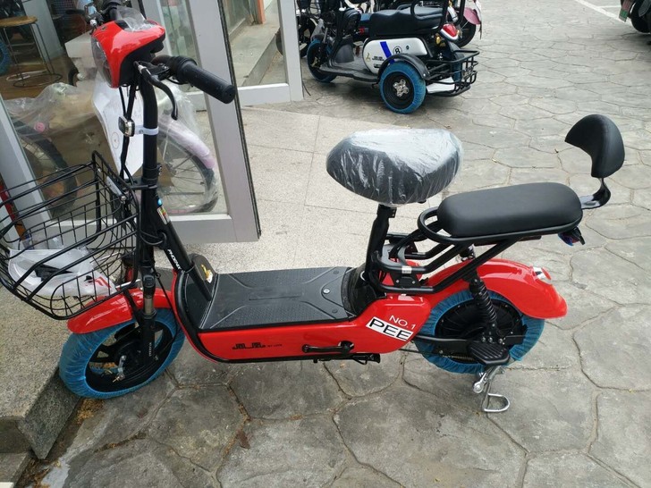 电动车 全新上海凤凰电动车 新国标 可上绿...