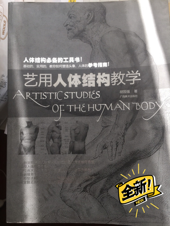 艺用人体结构教学书籍，适合研究画人像，油画...