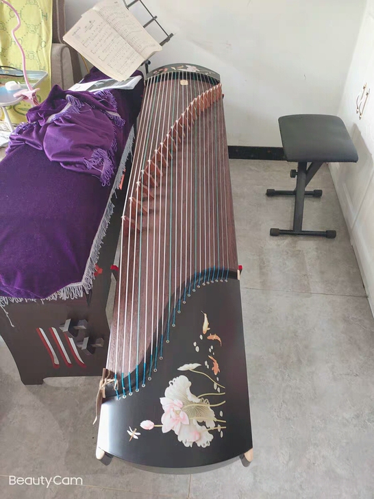 650元 全新 古筝