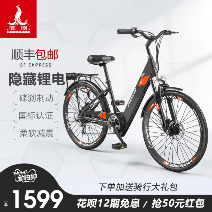 Phoenix/凤凰 电动自行车（带充电器）