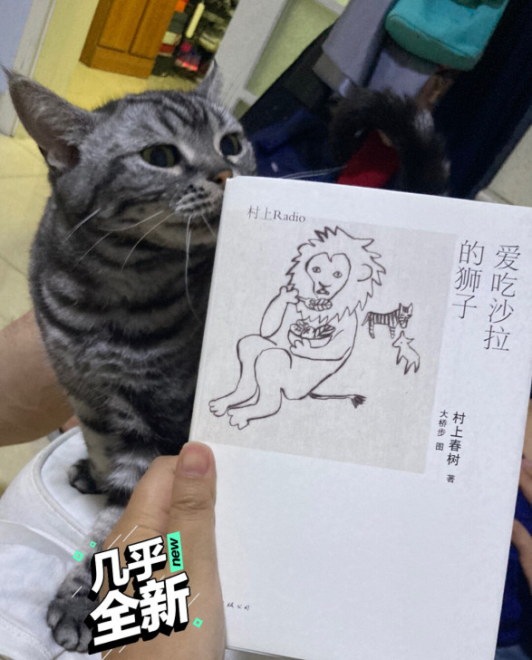 拜托了我的小猫咪出境