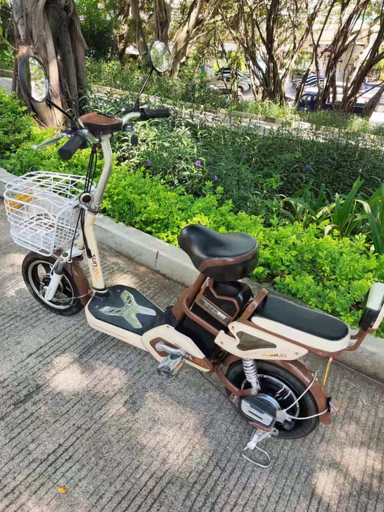 新日品牌和标电动车，48伏锂电池可续航30...