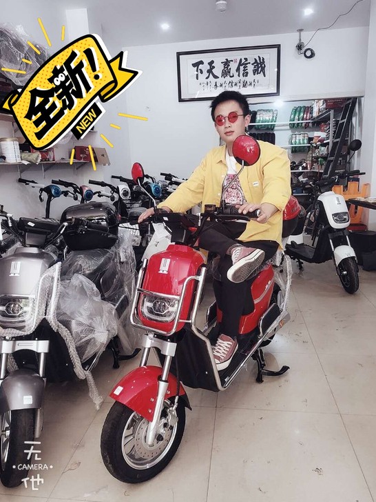 凤凰 小牛款新国标电动车