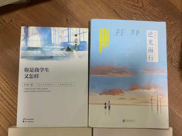 言情小说 校园小说