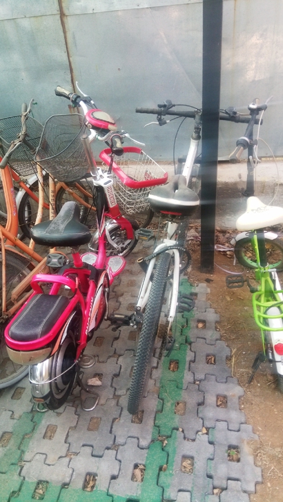 凤凰电动车48v，