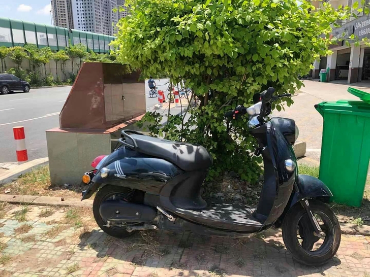 小刀电动车，六十伏。