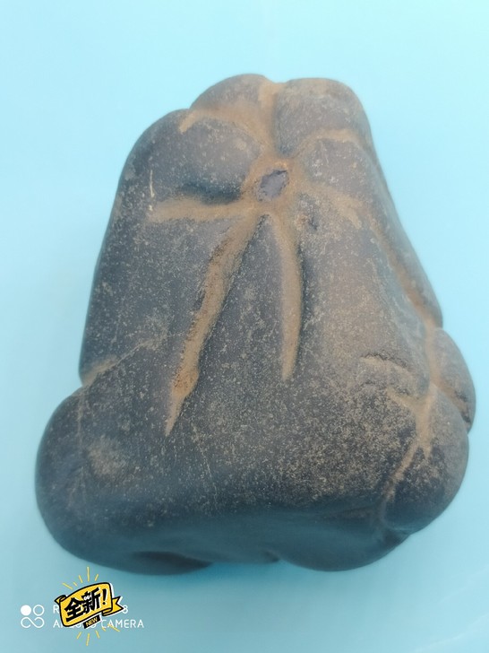 贵州古铜夜郎古铜天然水冲石小精品,龟纹,石...