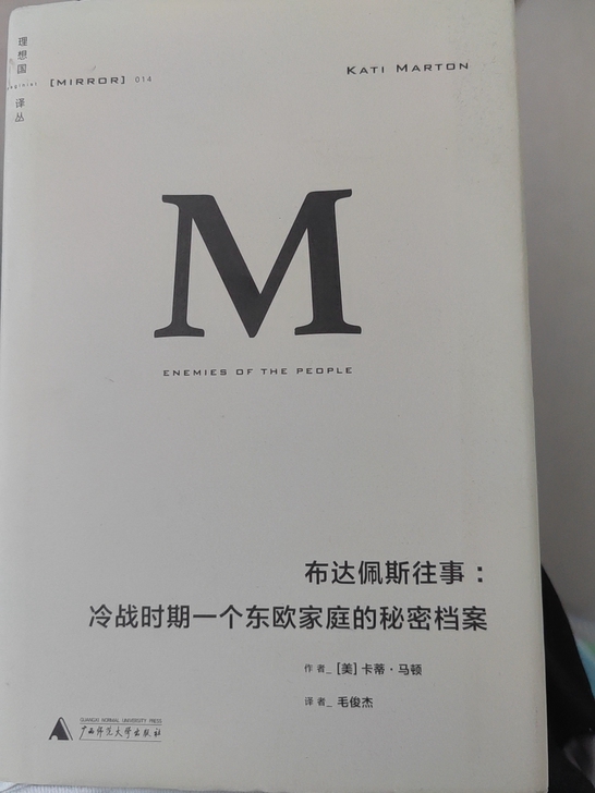 布达佩斯往事 崭新书 低价出