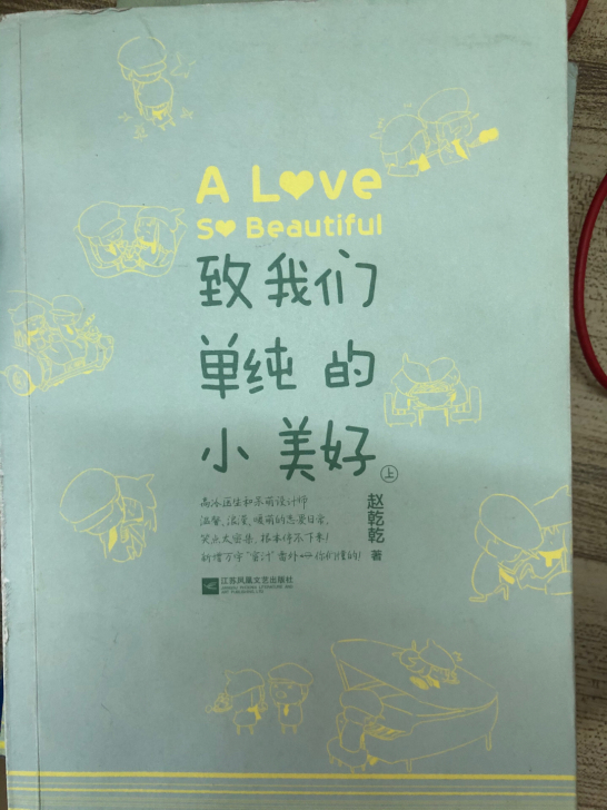 闲置旧书 小说 言情小说 致我们单纯的小美...