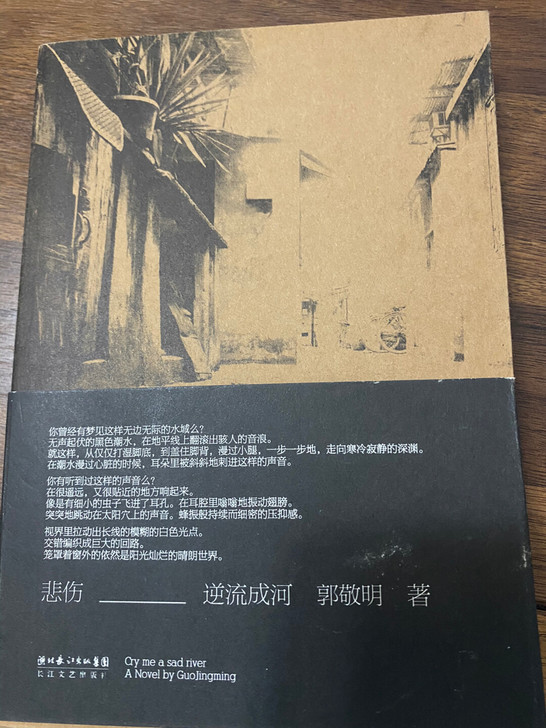 悲伤逆流成河签名版