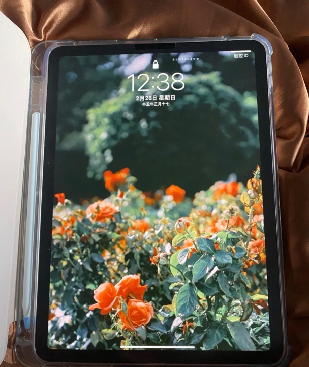 iPad pro 128G 平板ipad ...