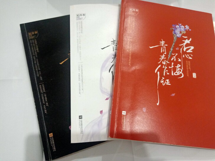 以前新华书买的小说，仅拆外包装，里面全新