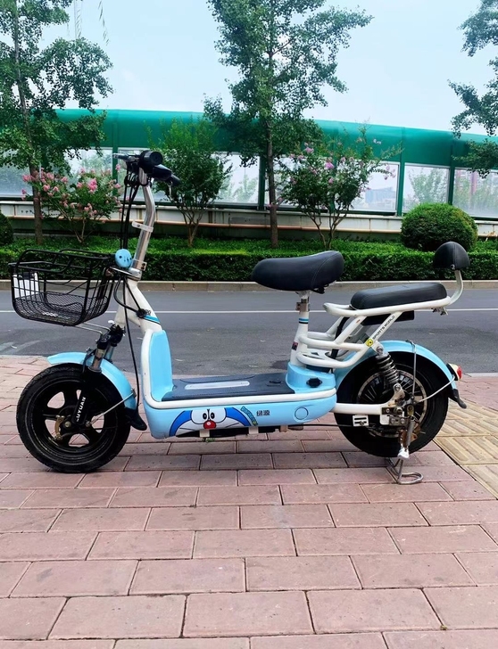 95新绿源电动车  48v12a 买一送五