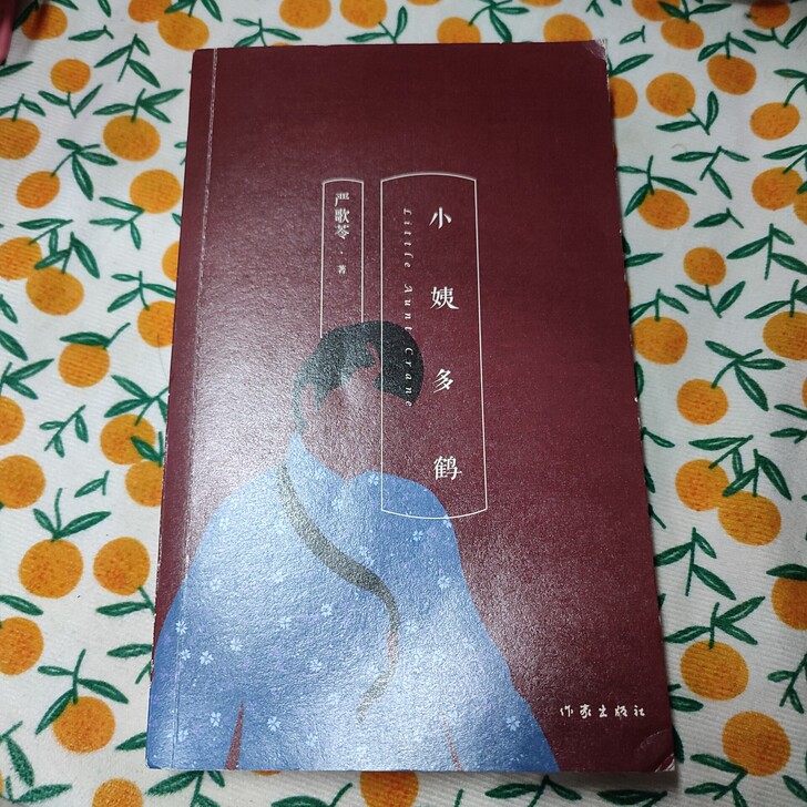 小姨多鹤 严歌苓 可小刀