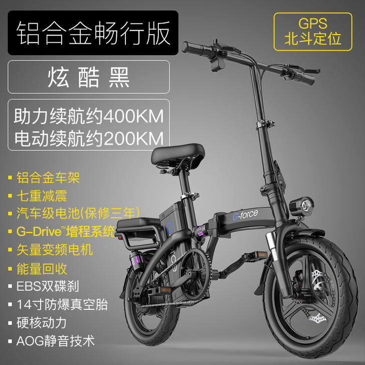 G-FORCE 电动自行车，购买没超过一年...
