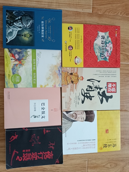 正牌图书小说散文10元一本，大清史，巴金散...