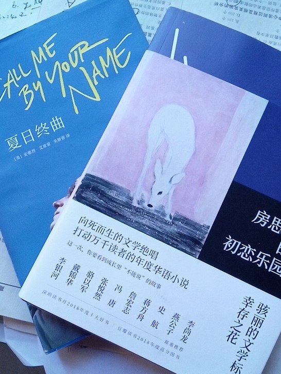 十三步 莫言 长篇小说