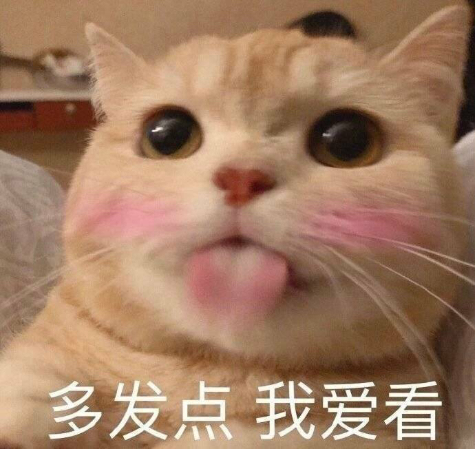 三国杀三个招募令激活码