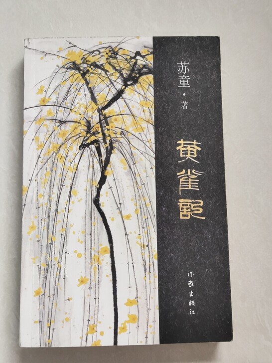第九苏童作家出版社正版