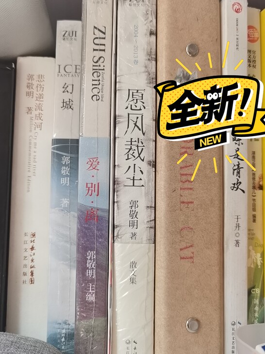 郭敬明散文小说