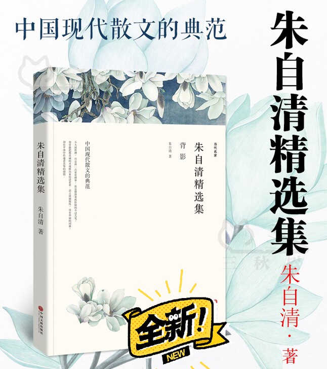 朱自清散文集 背影 荷塘月色 匆匆桨声灯影...