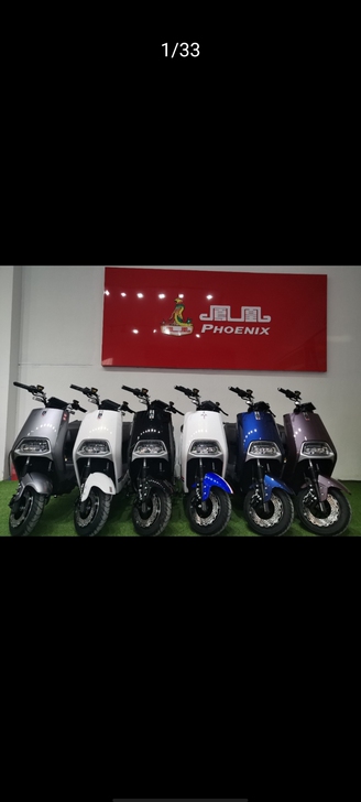 凤凰电动车新款，送大礼包，有电池和无电池价...