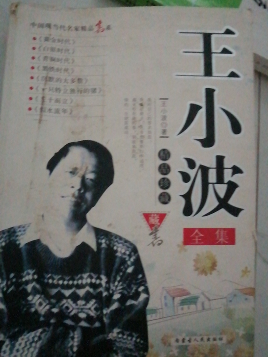 王小波全集红与黑人间失格贾平凹全集坏血孤独...