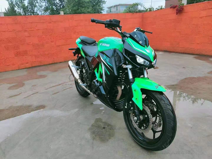 特价出售国四电喷十成新冷热一枪着火的菜花蛇...