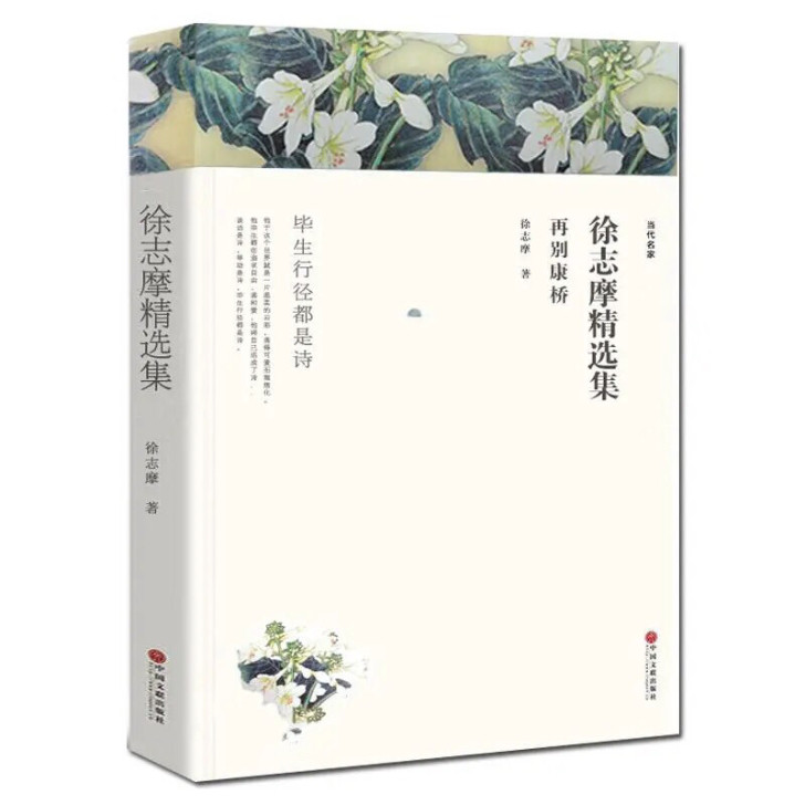 徐志摩诗精选集诗集全集散文集诗歌书爱情海子...