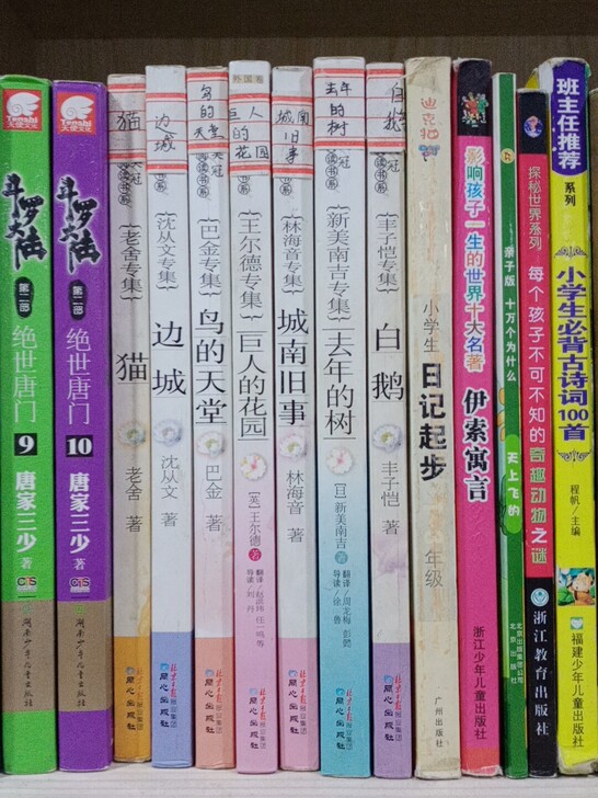 名家文集（小初学生）