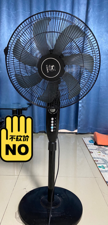 闲置天马电风扇