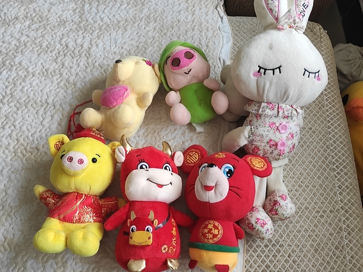 孩子的毛绒玩具,太占地了,打包出售了。便宜...