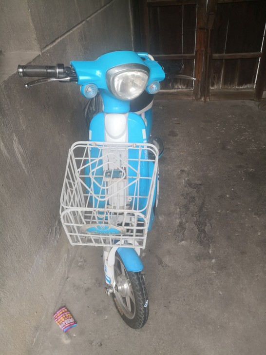 绿源电动电瓶车正品