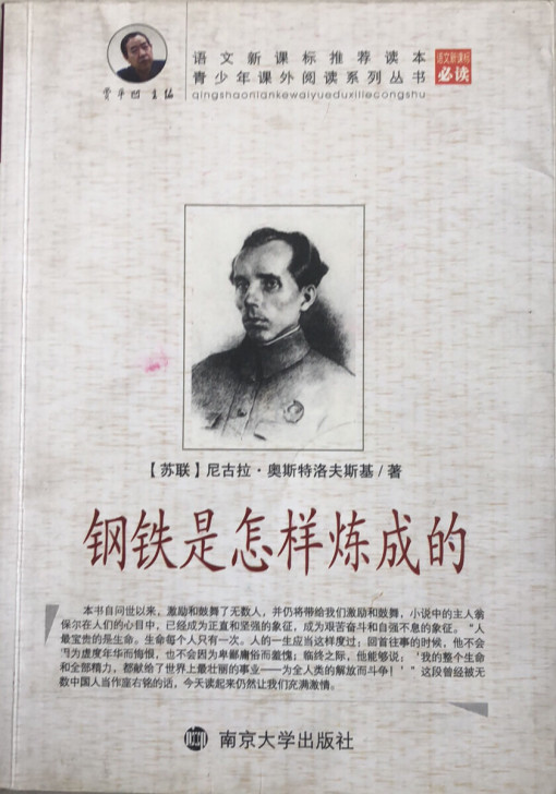 低价出钢铁是怎样炼成的 青少年课外阅读系...