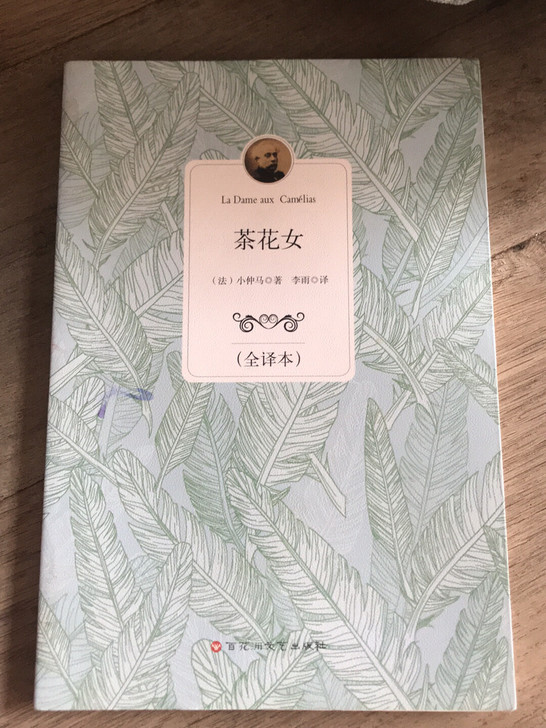 茶花女文学必读经典