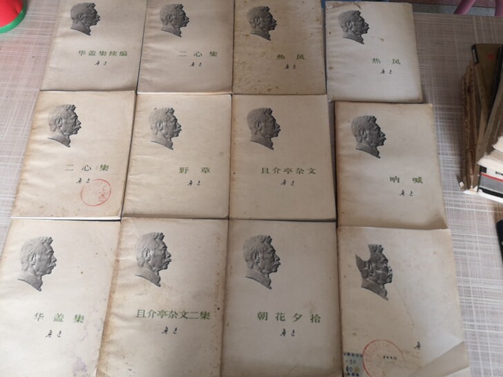 鲁迅各种书本 8元/本