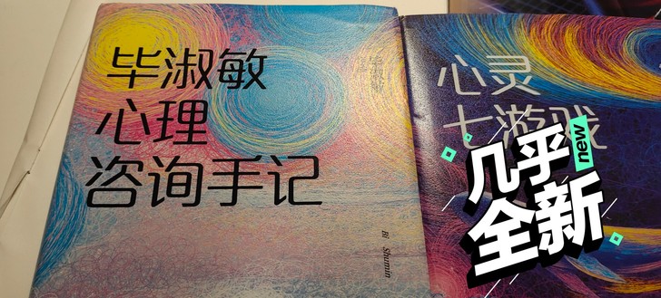 毕淑敏心理咨询手记