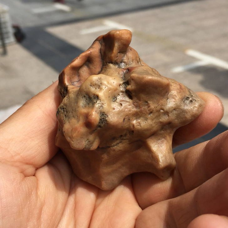 戈壁石 象形石 奇石 人物 阿拉善 小品石