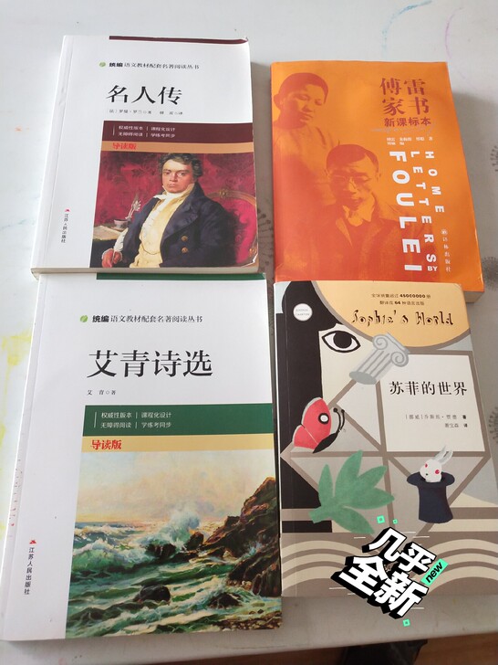 语文阅读，课外阅读，艾青诗选，海底两万里，...