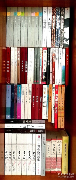 海岩小说毕淑敏小说中外名家散文选集