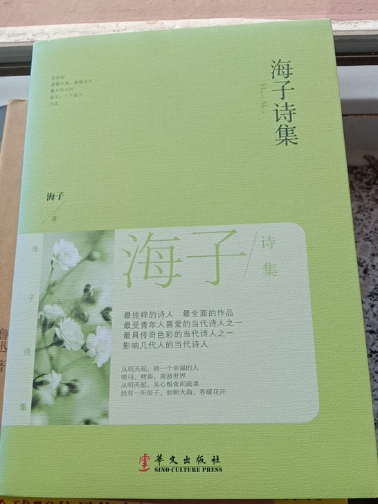 海子诗集 九成新