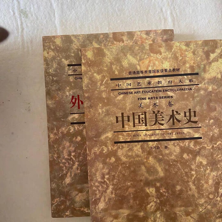 正版中国美术史洪再新外国美术史欧阳英二手